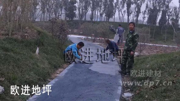 彩色壓模地坪-歐進(jìn)地坪www.48890.cn